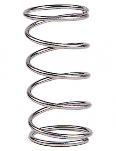 Molla acciaio inox